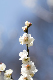 image0349