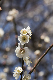 image0367