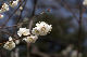 image0372