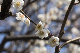 image0384