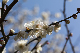 image0385