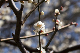 image0386