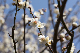 image0387