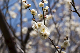 image0388