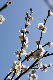 image0389
