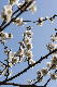 image0390