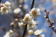 image0391