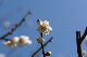 image0392