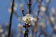 image0394
