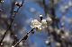 image0395