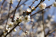 image0398
