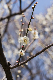 image0399