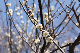 image0400