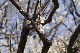 image0401