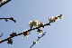image0402