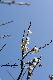 image0404