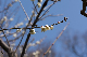 image0405