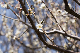 image0406