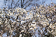 image0407