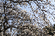 image0413