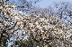 image0414