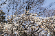 image0415