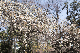 image0416