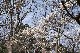 image0417