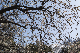 image0418