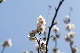 image0422