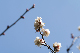 image0423