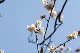 image0424