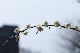 image0428