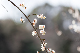 image0429