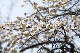 image0430