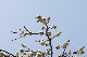 image0432