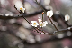 image0434