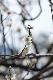 image0435