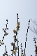 image0436