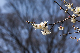 image0461