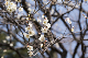 image0464