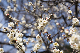 image0465