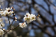 image0467