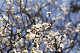 image0469