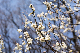 image0470