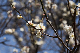 image0472