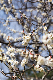 image0474