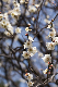 image0475