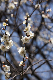 image0476