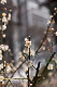 image0477